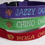 embroidered dog collars